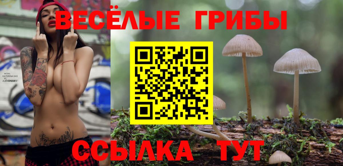 Псилоцибиновые грибы Psilocybe Урус-Мартан