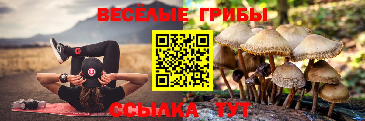 Галлюциногенные грибы ЛСД  Вход с VPN  Псилоцибиновые грибы мухоморы  наркошоп  Урус-Мартан 